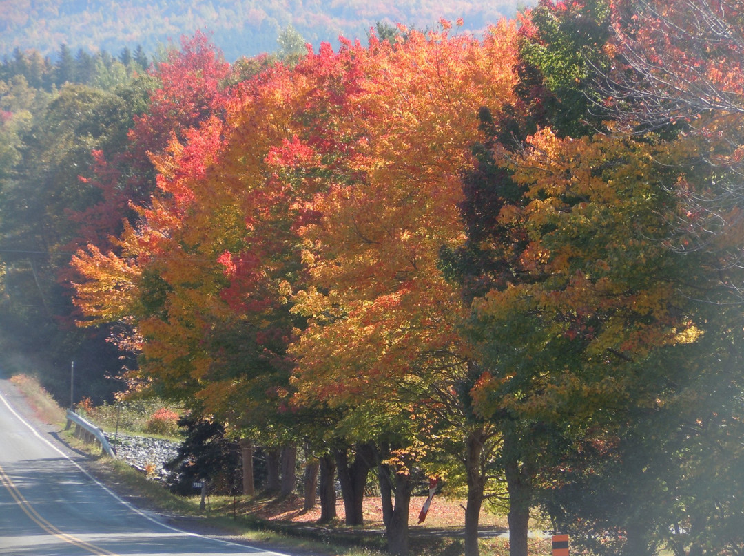 Margaree Valley旅游攻略图片