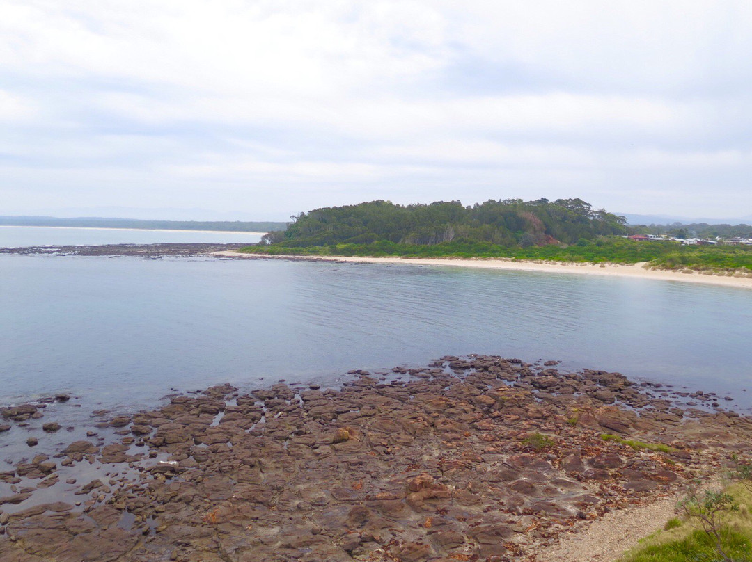 Broulee Island Walk景点图片