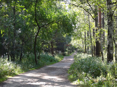 Lesnoi旅游景点-Southwestern Forest Park