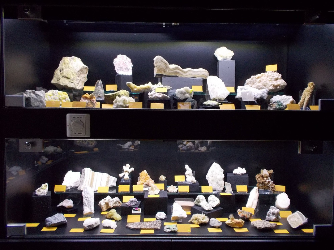 Merksem旅游景点-Mineralogical Museum