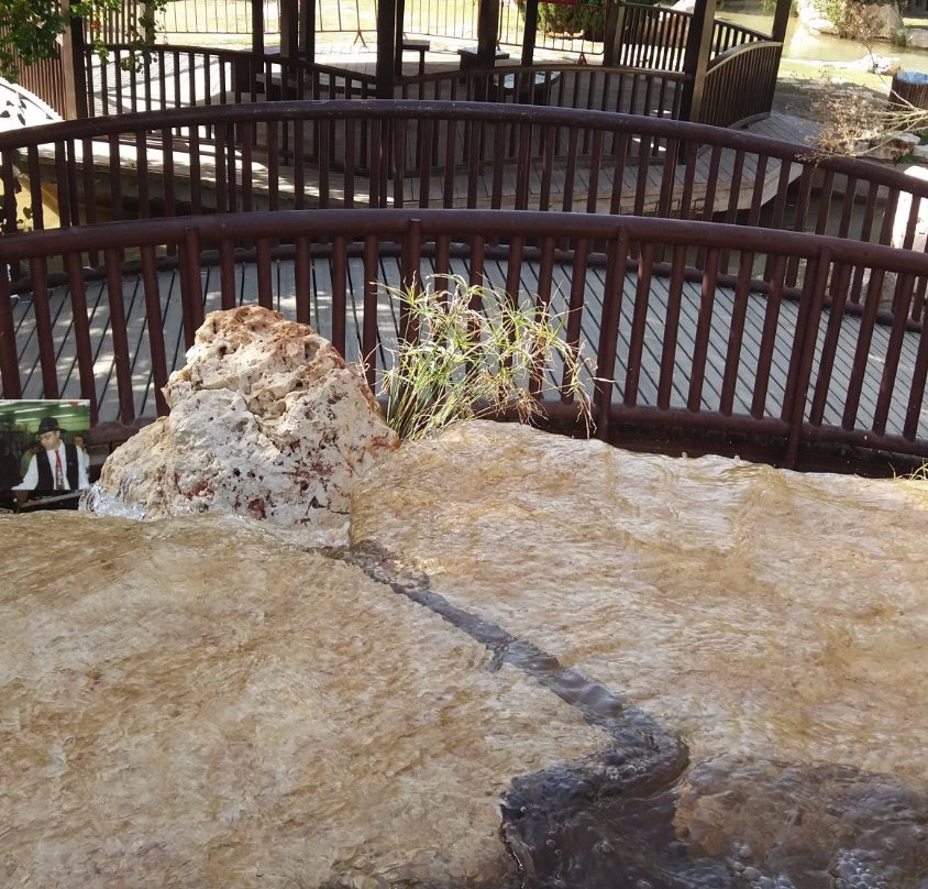 Japanese Garden-霍隆必去景点