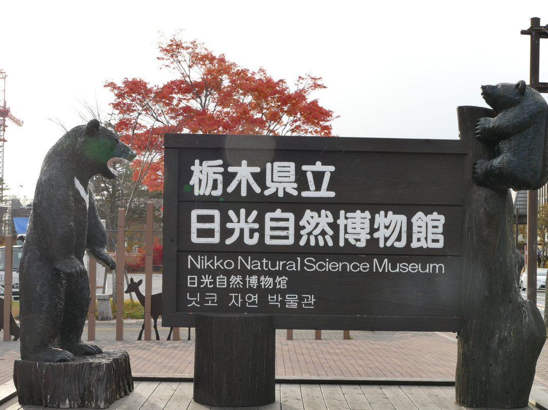 Tochigi Prefectural Nikko Natural Science Museum-日光市必去景点