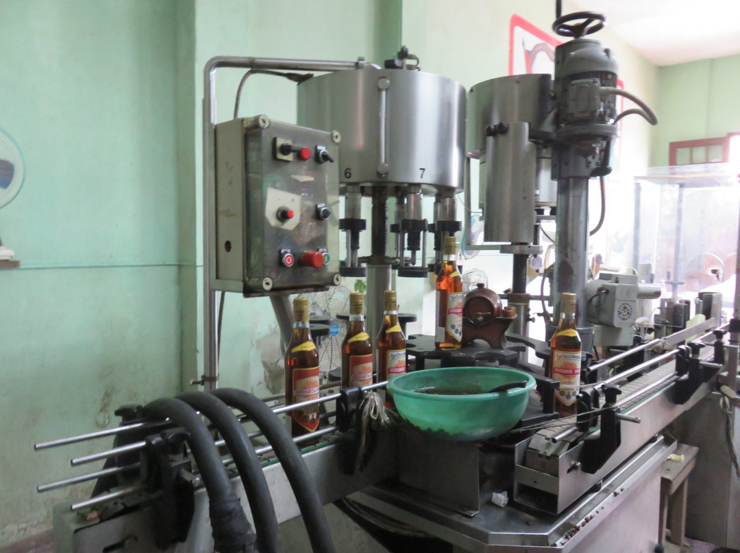 Guayabita del Pinar Liqueur Factory景点图片
