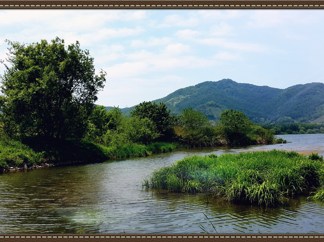 Angela Garden-杨平郡必去景点