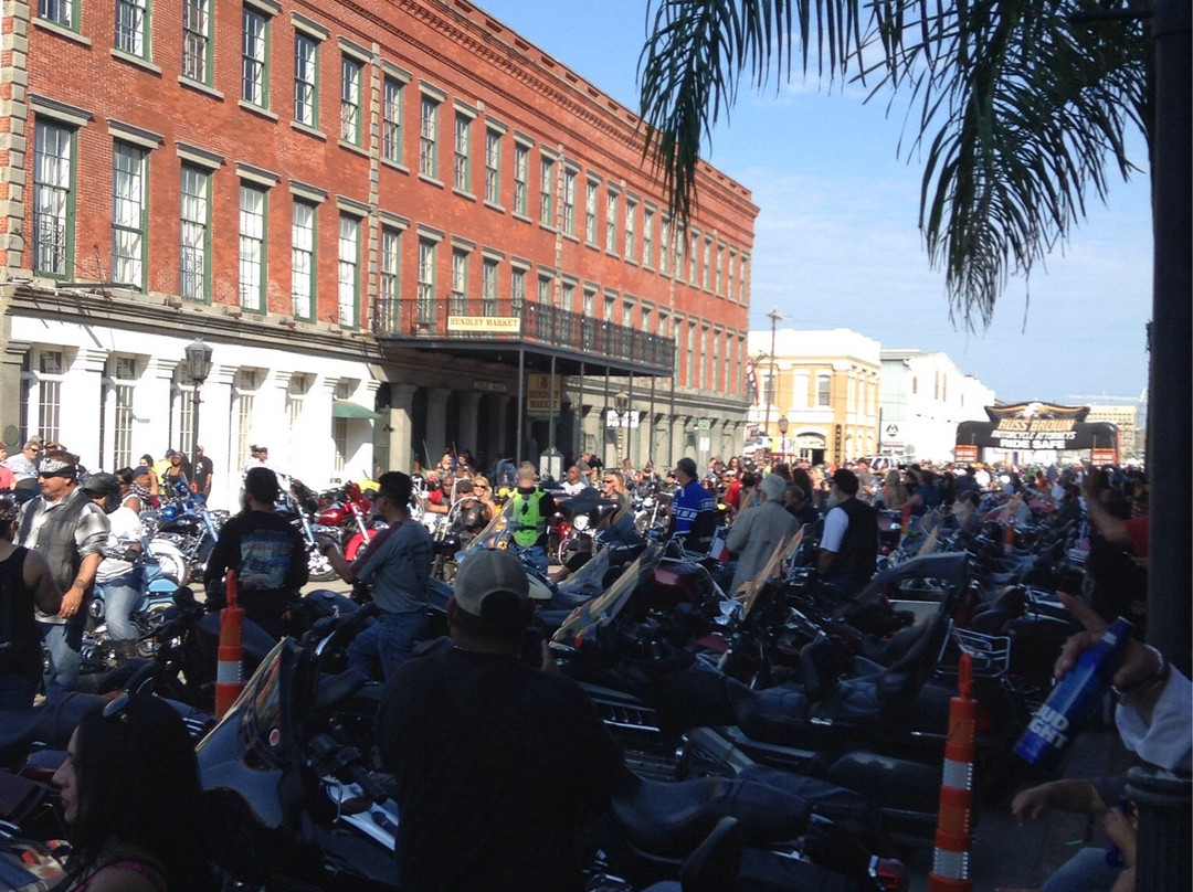 Lone Star Rally-盖维斯顿必去景点