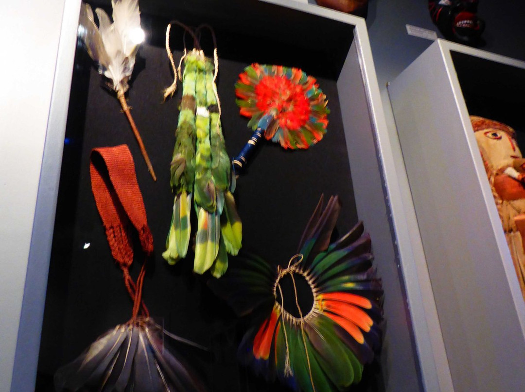 Museo Pajcha Arte Etnico-萨尔塔必去景点