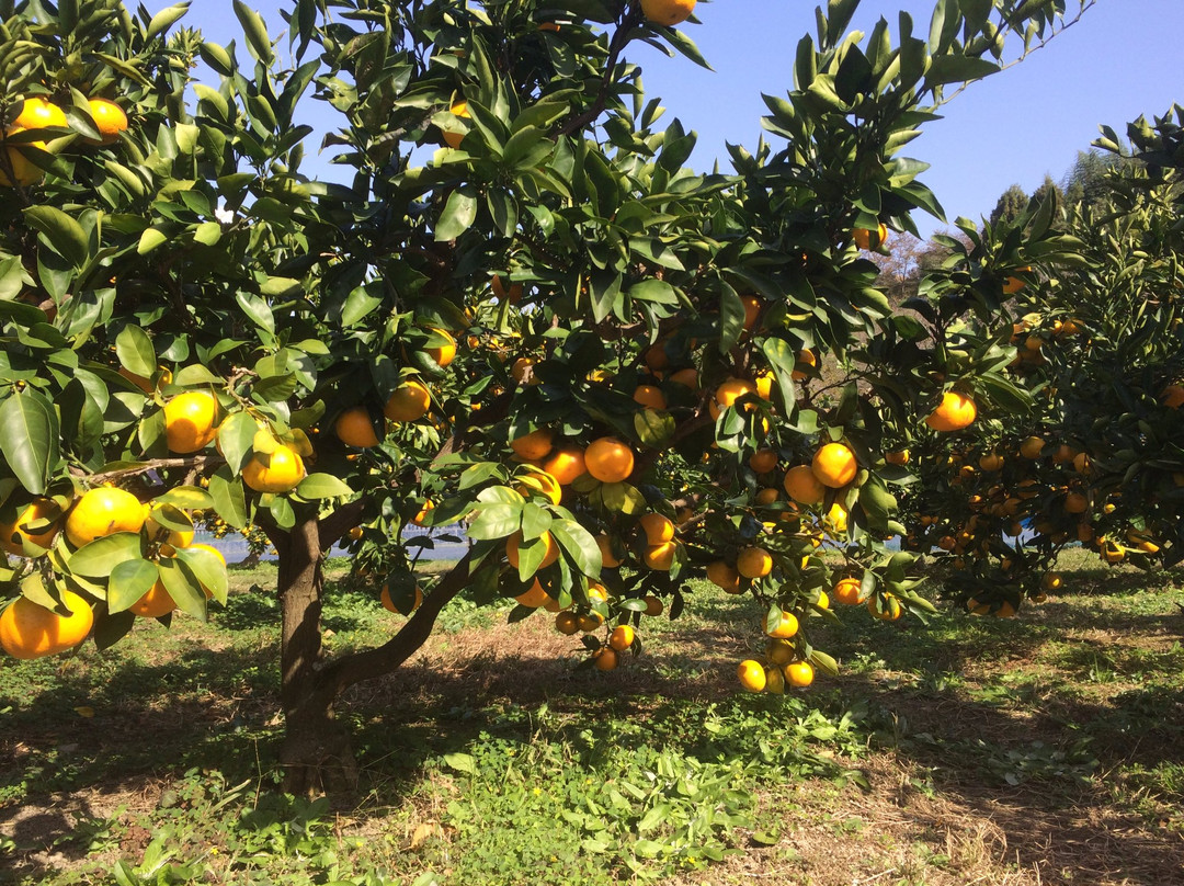 Tondabayashi Savor Farm-富田林市必去景点