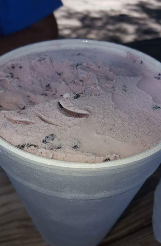 Burton Brooks Peach Orchard-Barney必去景点