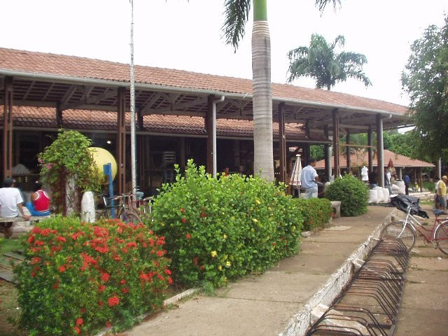 Tucurui Municipal Market景点图片