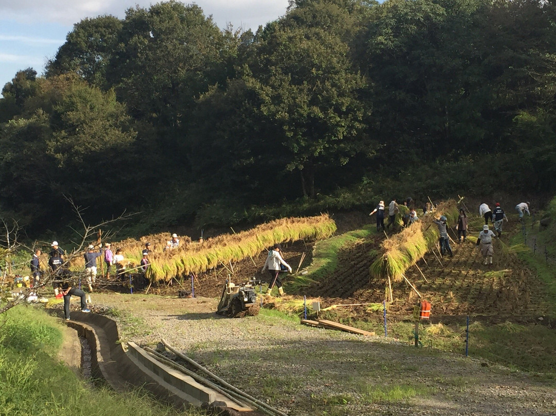 Oita Agricultural Park景点图片