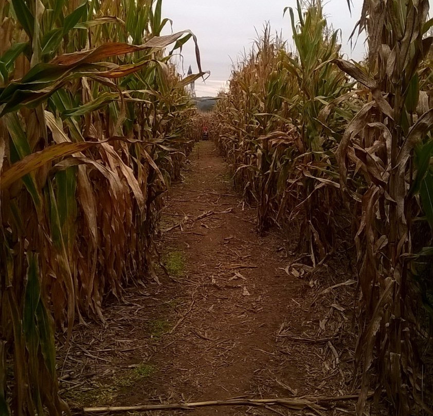 Black River & Western Railroad-Ringoes必去景点