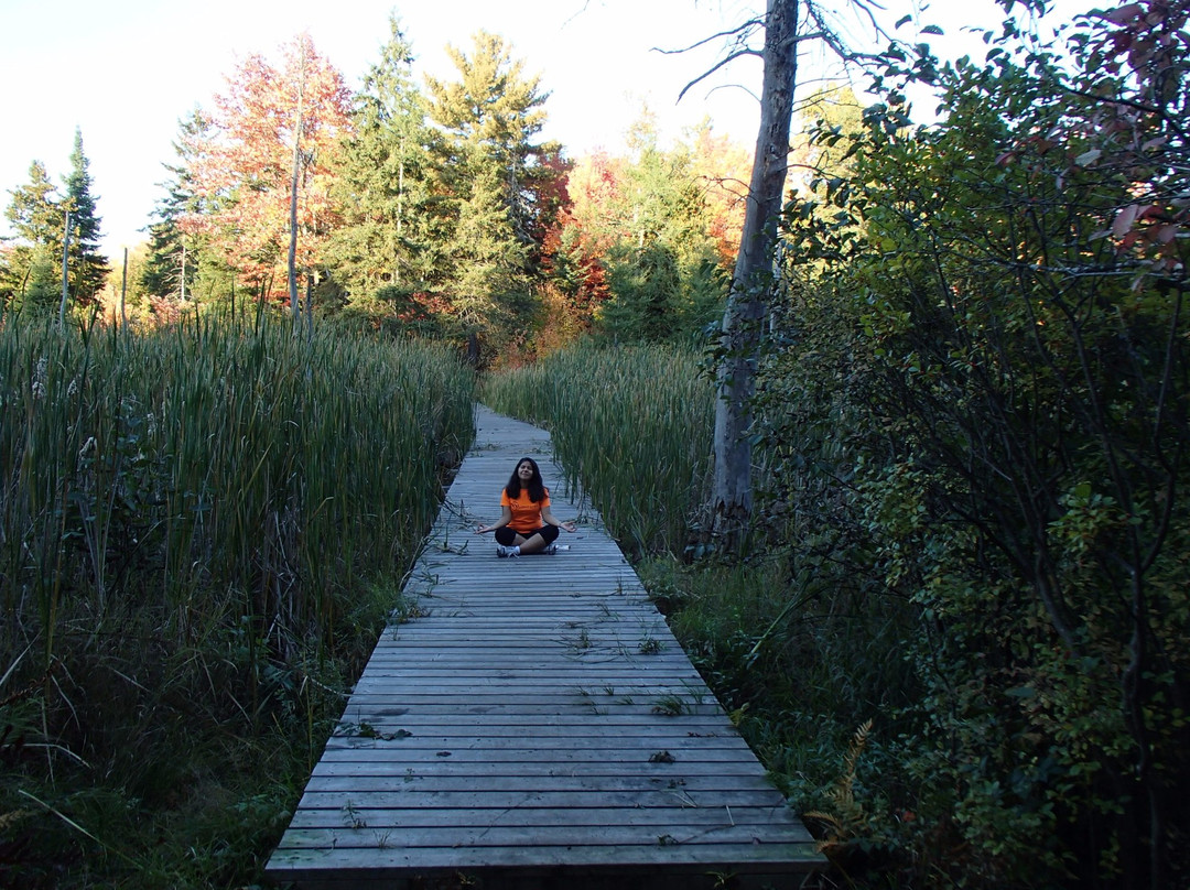 Laurier Woods Conservation Area-诺斯贝必去景点