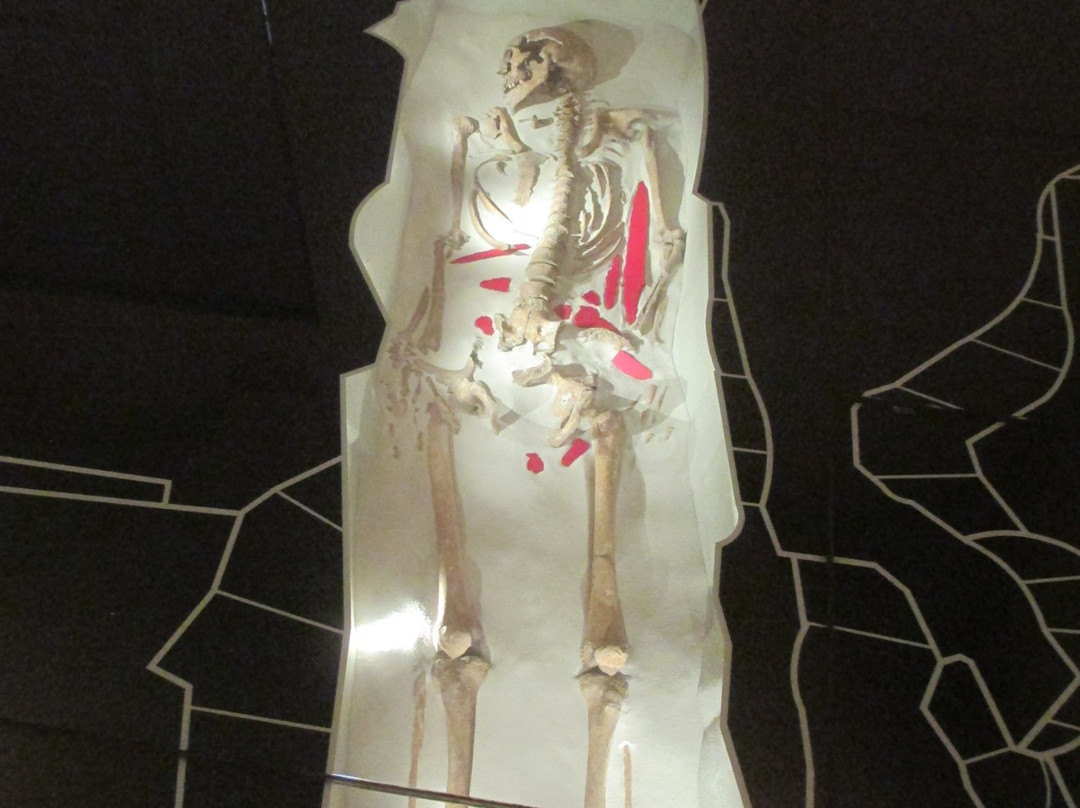 Museo Antiquarium Longobardo景点图片