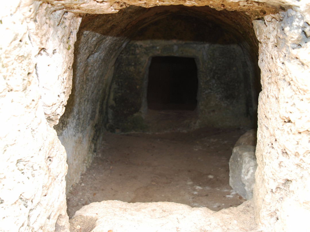 Cuevas de l'Alzinaret-Cala Sant Vicenc必去景点