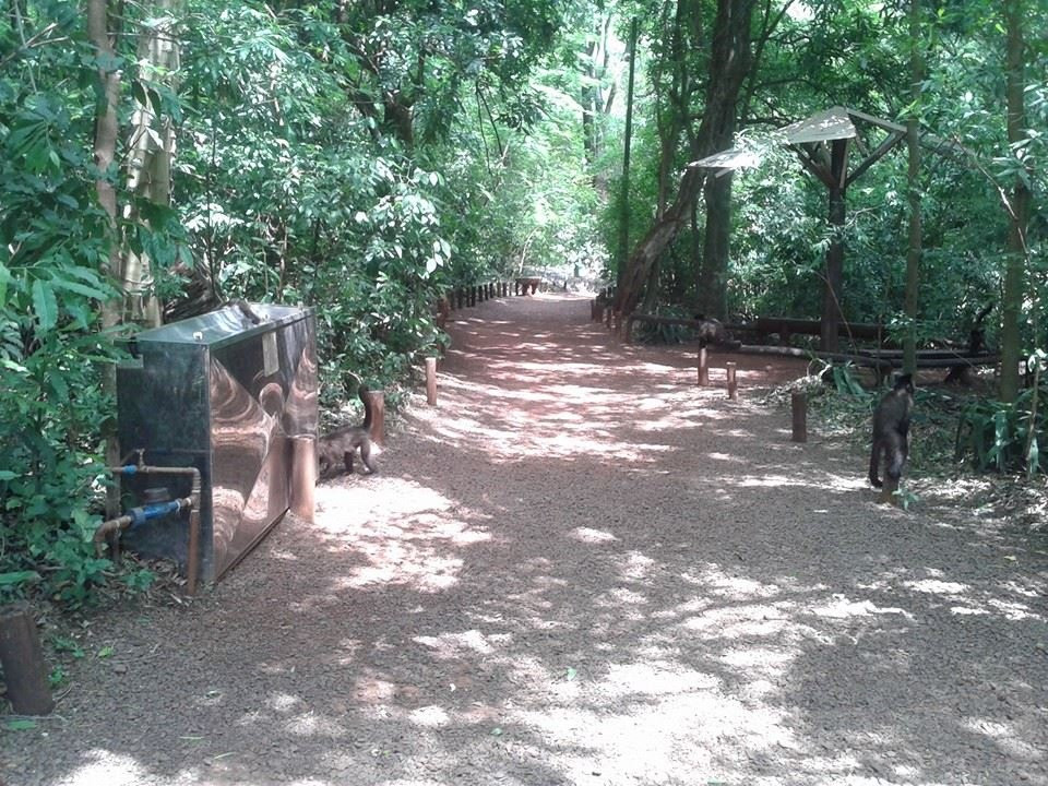 Biologa Tania Mara Netto Silva Ecological Park景点图片