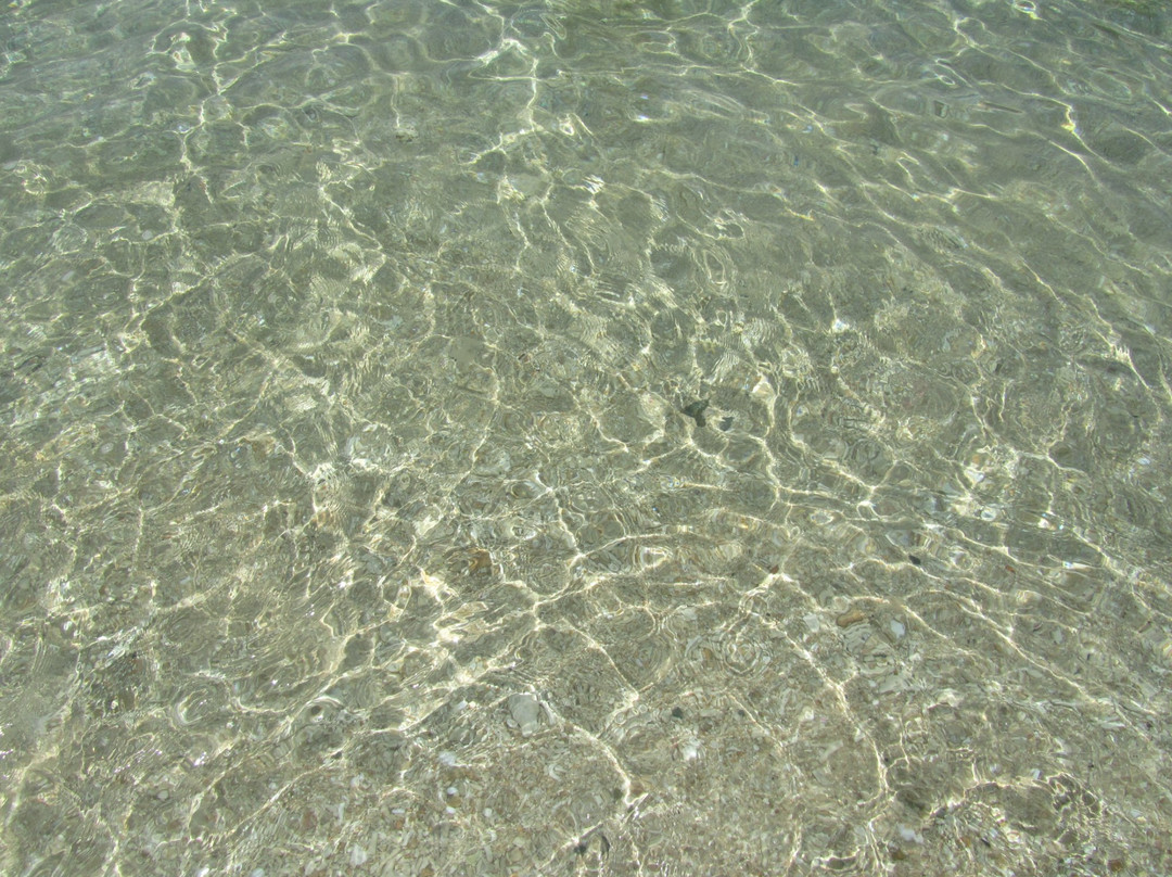 Mai Nha Island-绥和必去景点