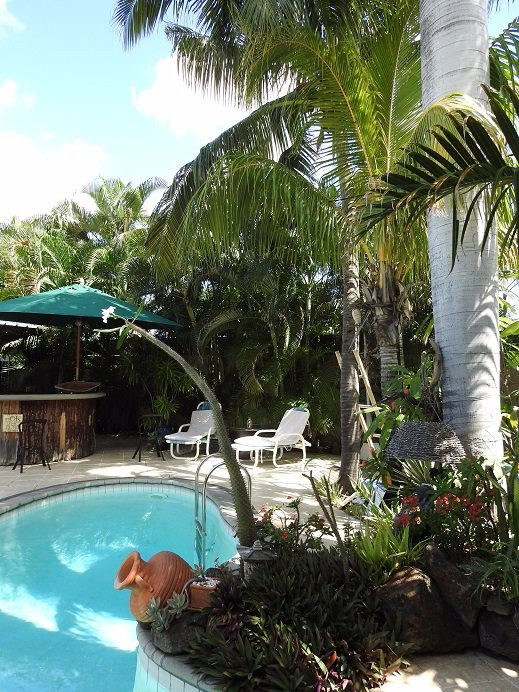 B&B Paradise Nest主图