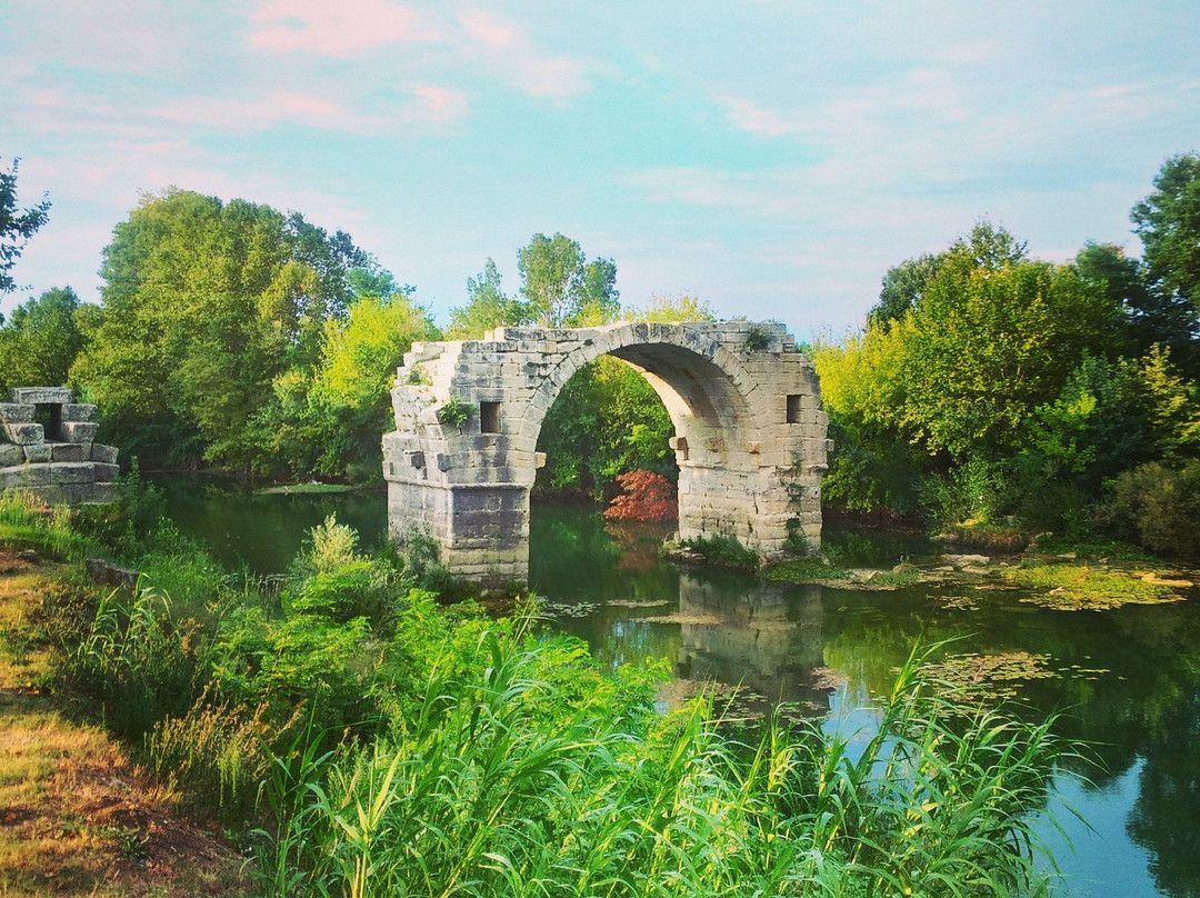 Aigues-Vives旅游攻略图片