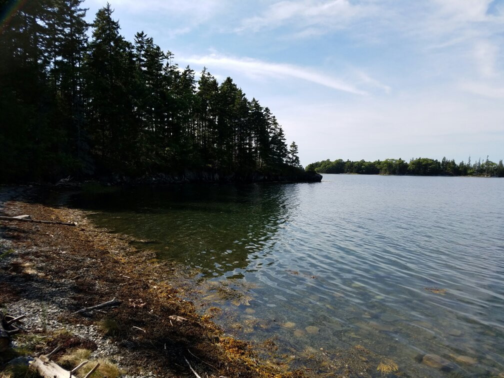 Holbrook Island Sanctuary景点图片