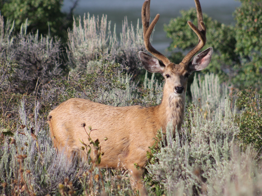 Vega State Park-Collbran必去景点