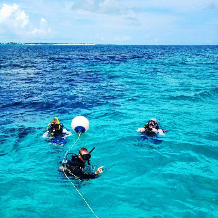 DiveTime Abaco景点图片
