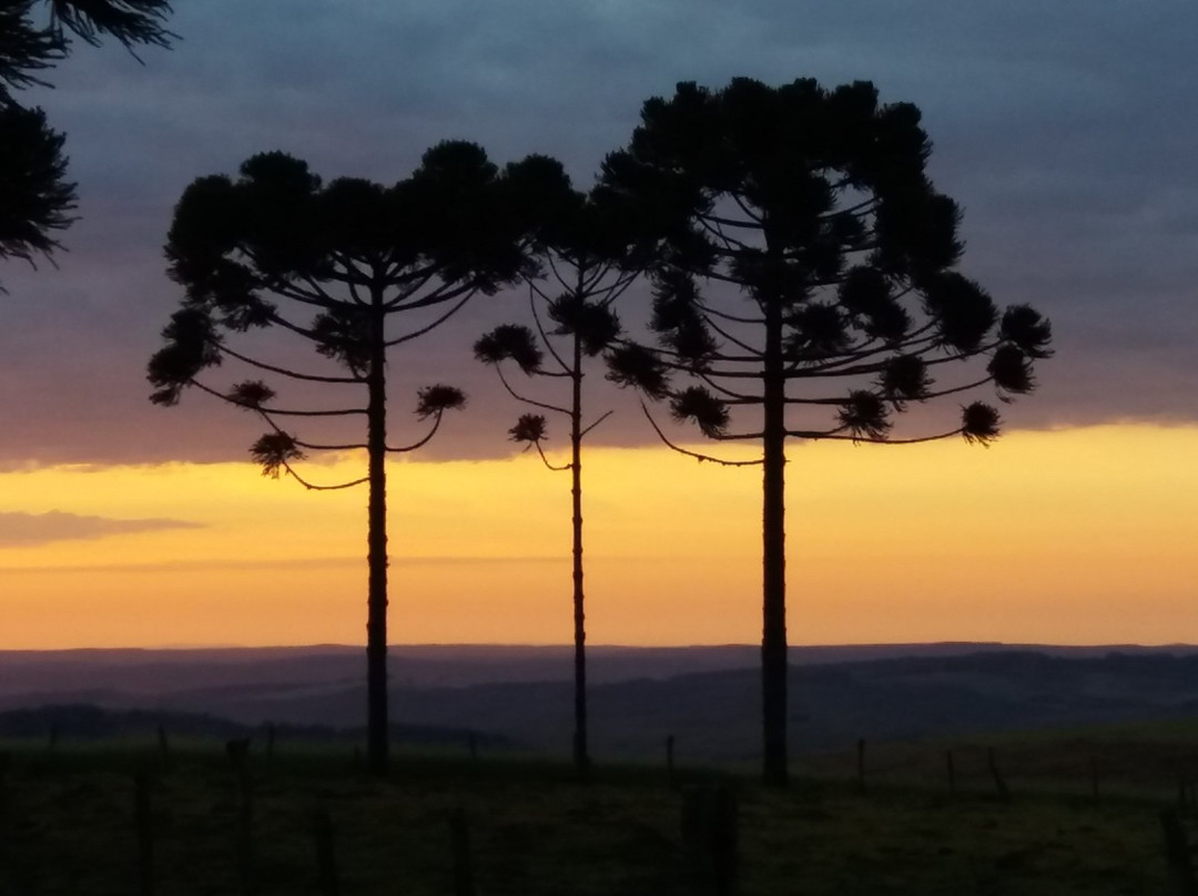 Sítio da Tia Júlia-Tibagi必去景点