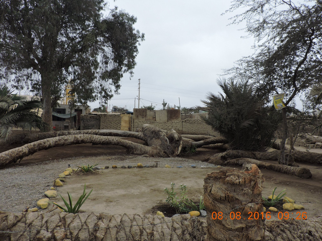 Palmera de Siete Cabezas-伊卡必去景点