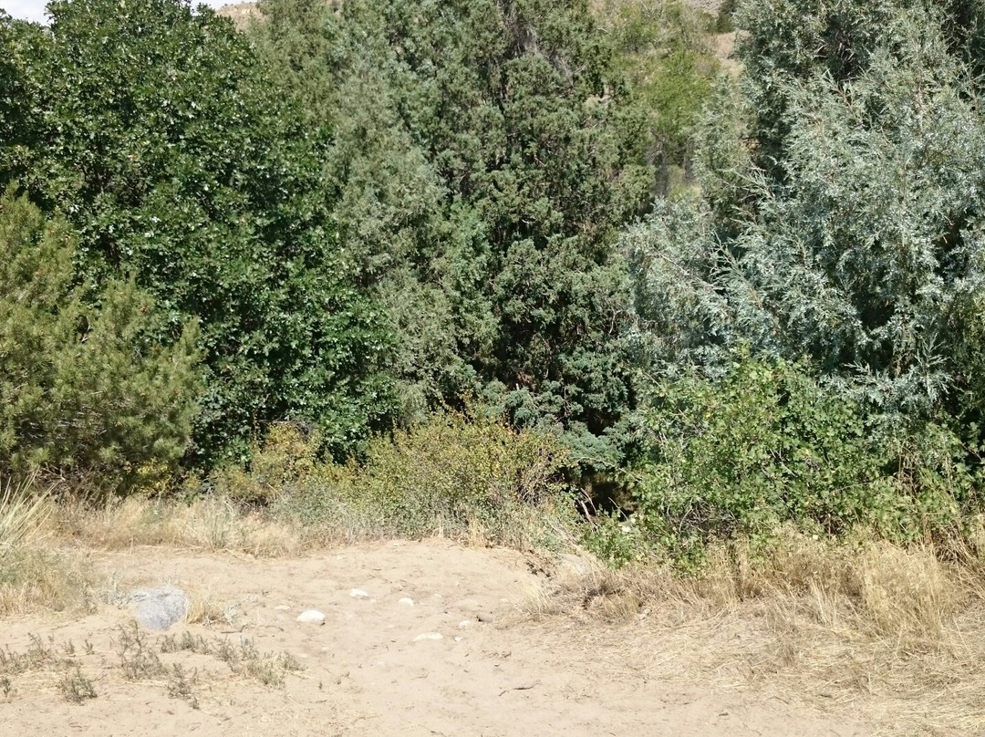 Arkansas Headwaters Recreation Area-萨利达必去景点