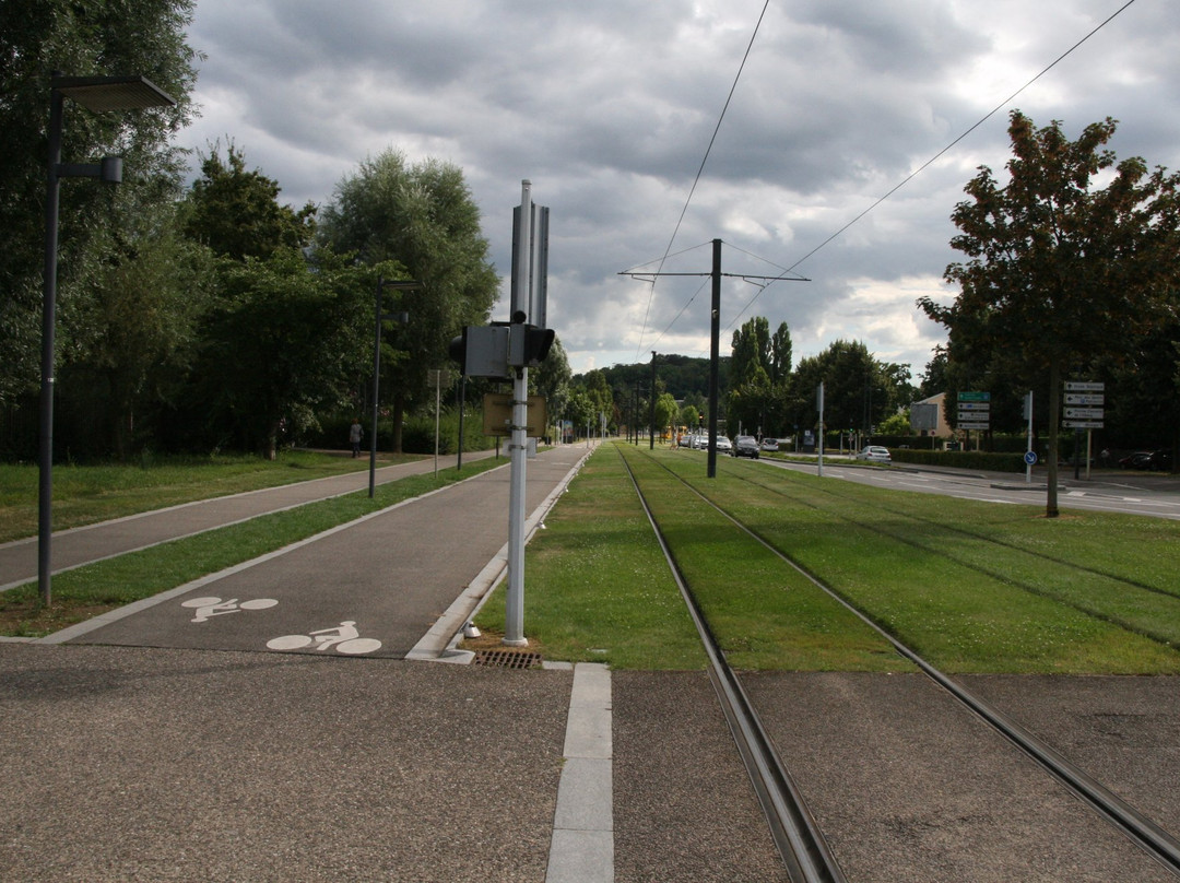 Tramway de Mulhouse-米卢斯必去景点