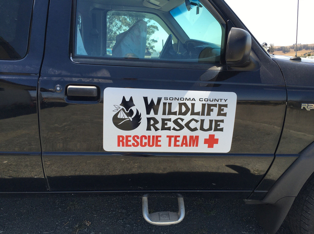 Sonoma County Wildlife Rescue景点图片