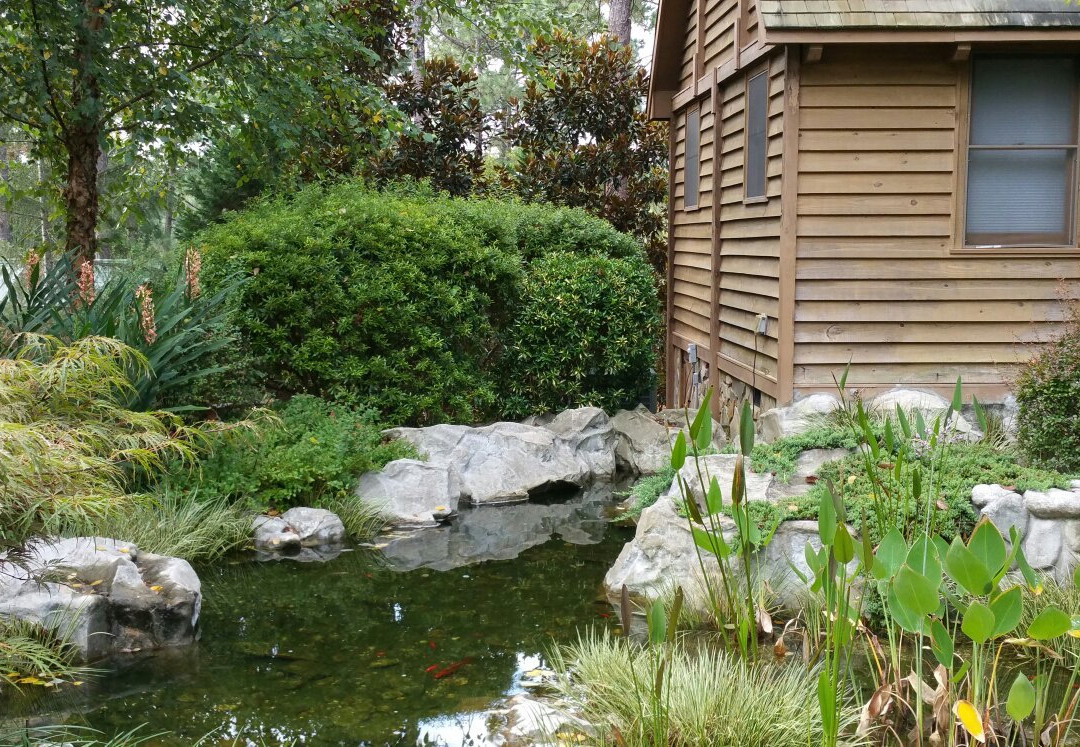 Sycamore Lodge Resort