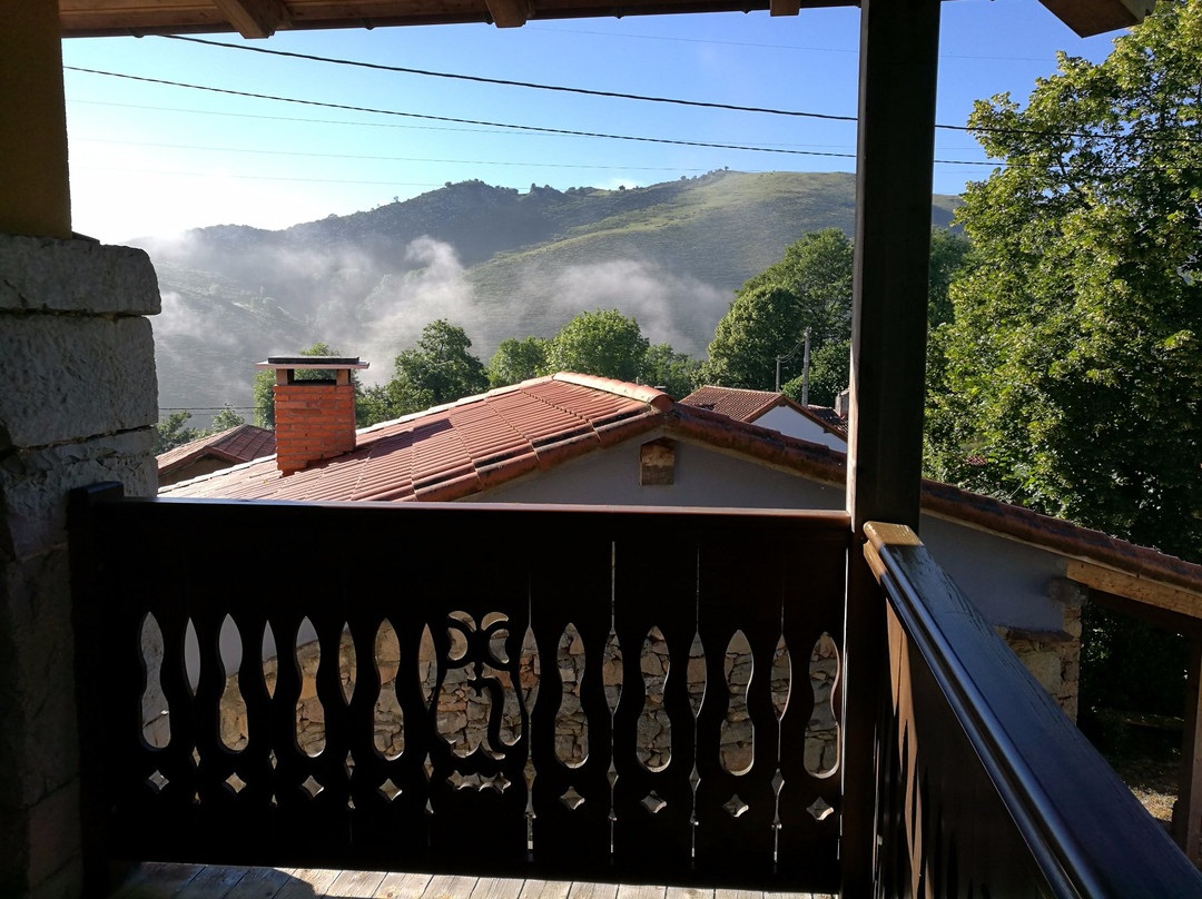 Dolia Rural