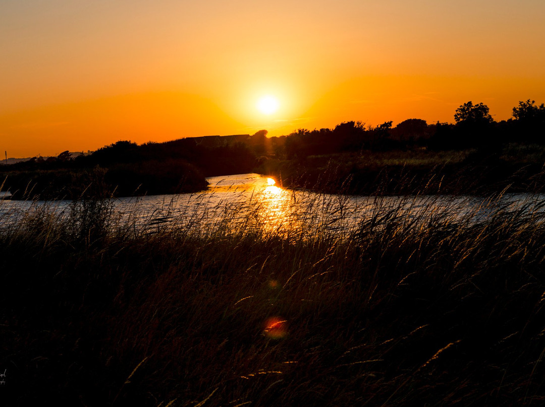 Shoebury Common Beach景点图片