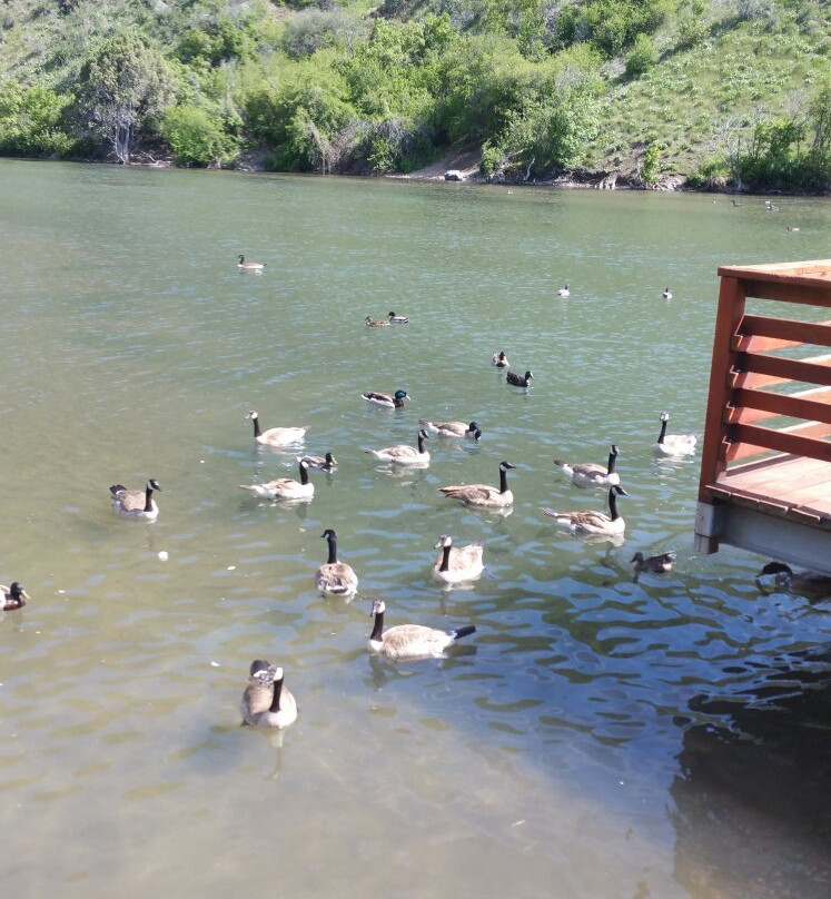 First Dam/Canyon Entrance Park-洛根必去景点