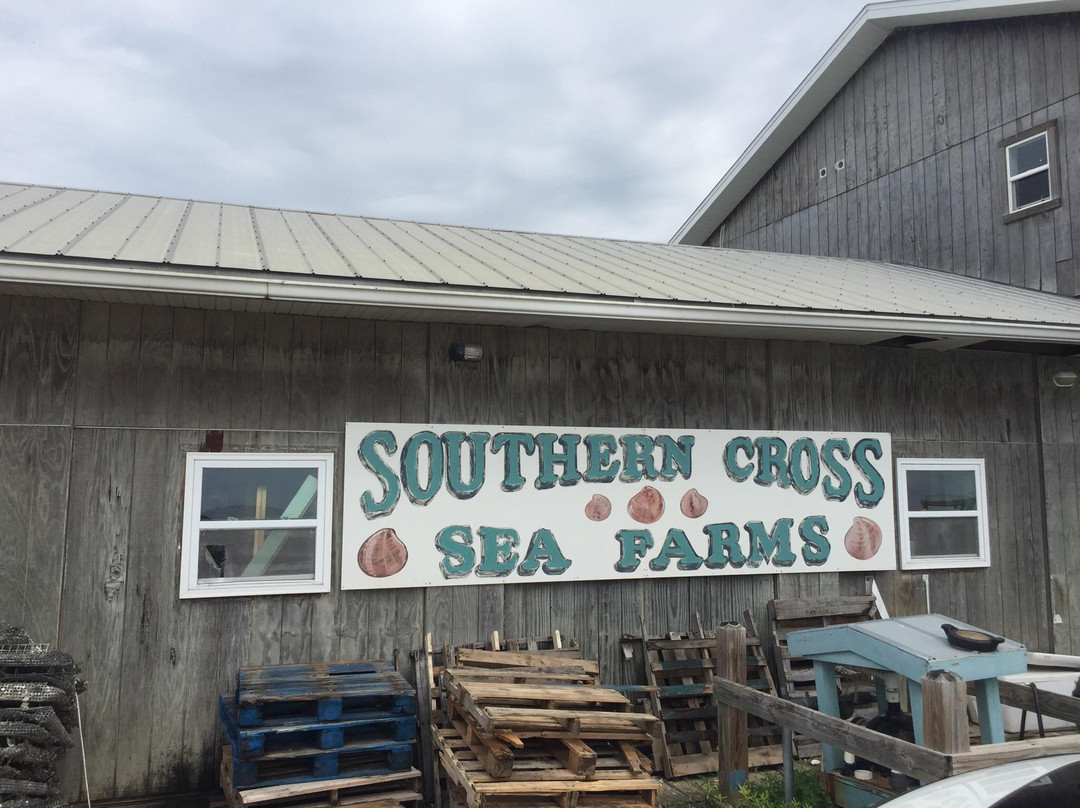 Southern Cross Sea Farms-锡达礁必去景点
