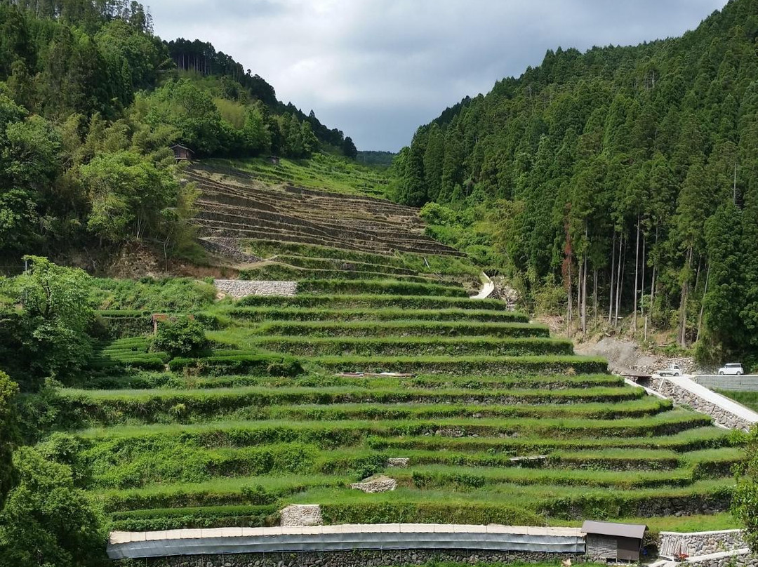 Ishizumi Rice Terraces景点图片
