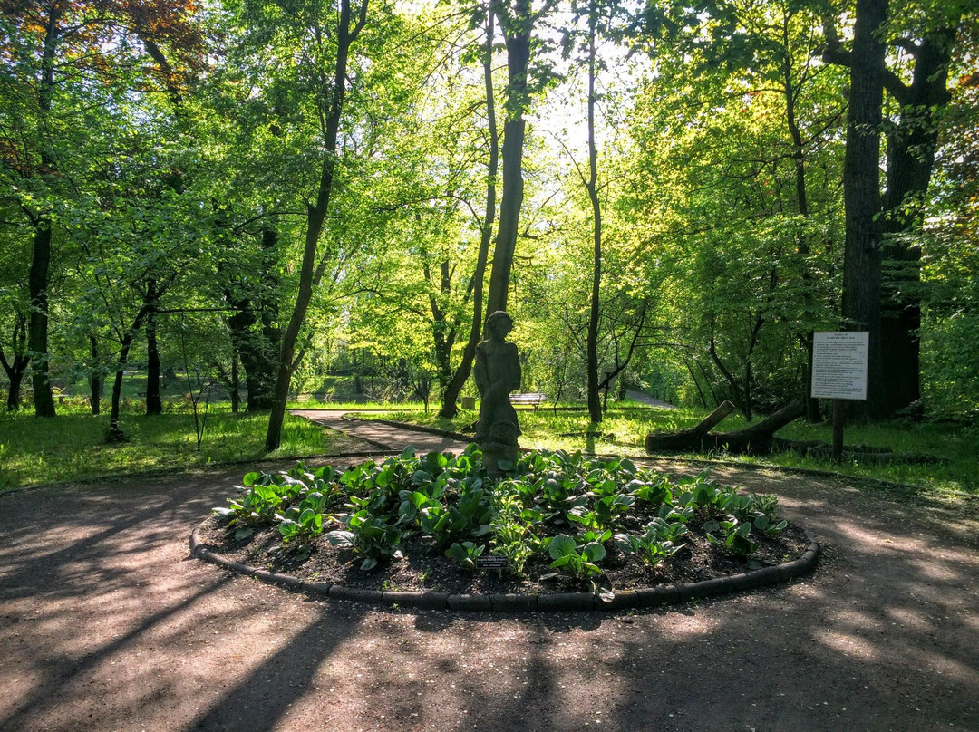 Botanisches Garten / Miejski Ogrod Botaniczny景点图片