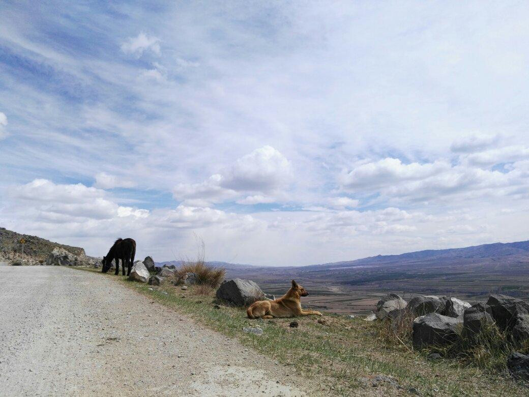 塞外长城-大同市必去景点