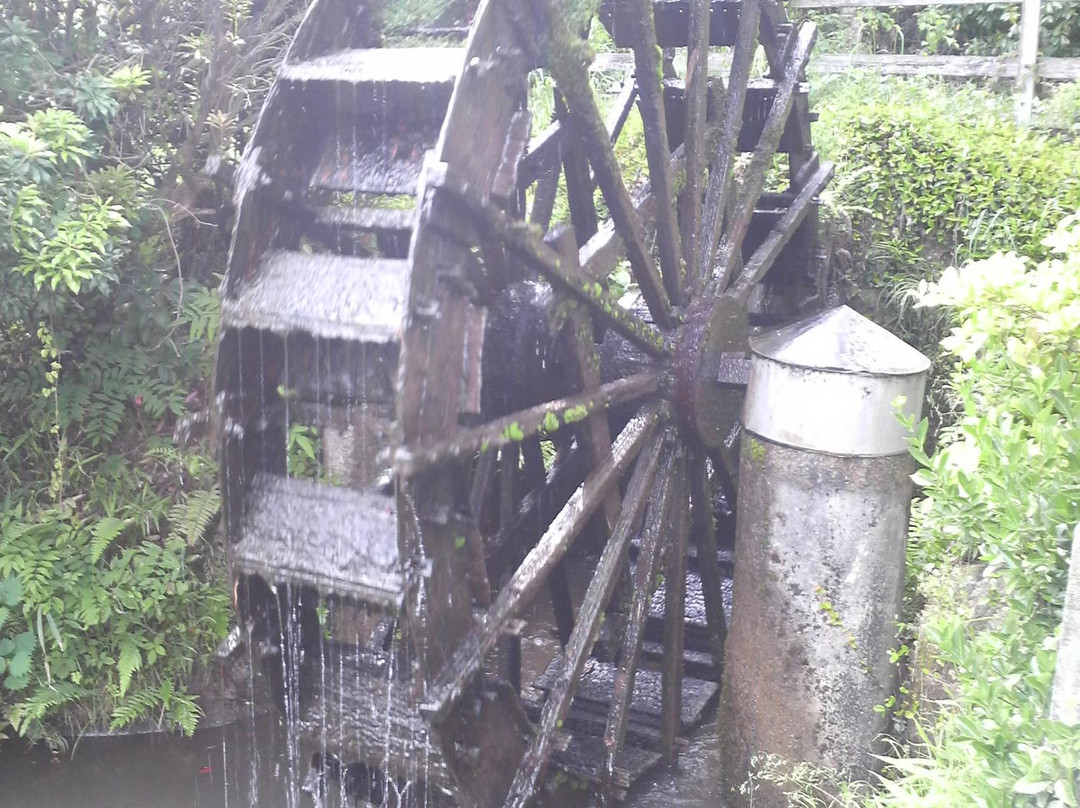 Yamada Hiyoshi Shrine-玉名市必去景点