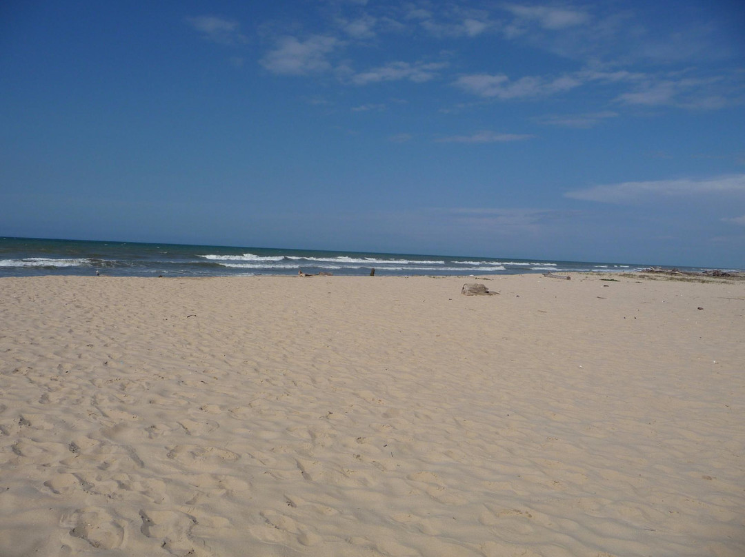 Playa Miami景点图片