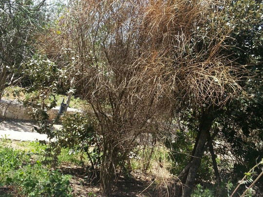 Parco Antonio Di Giulio-布林迪西必去景点