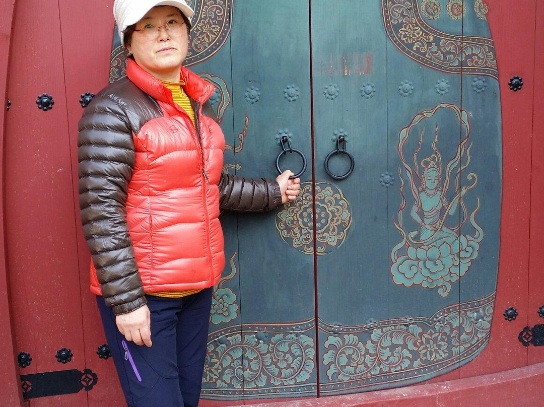 Ahndong Hoban Nature Forest-安东市必去景点