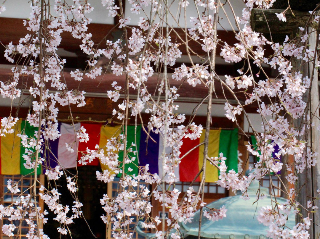 Hoju-in Temple景点图片