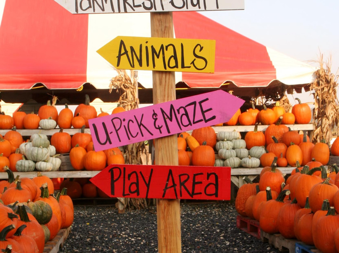 Emily’s Produce-坎布里奇必去景点