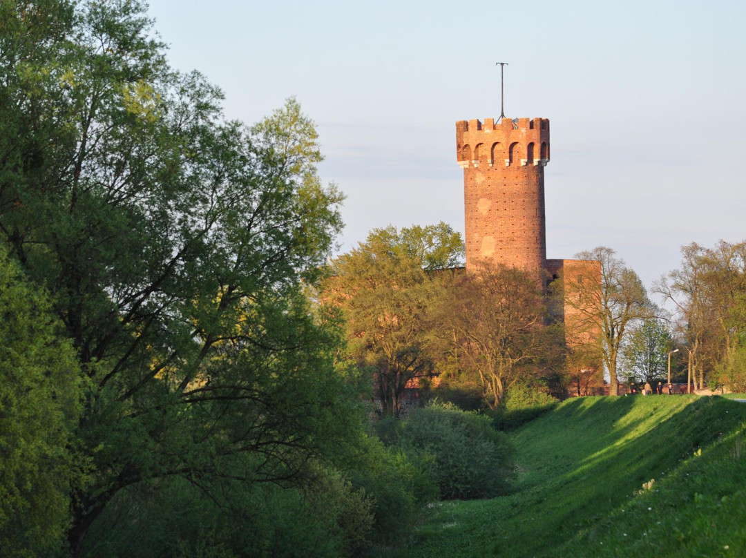 Teutonic Castle景点图片