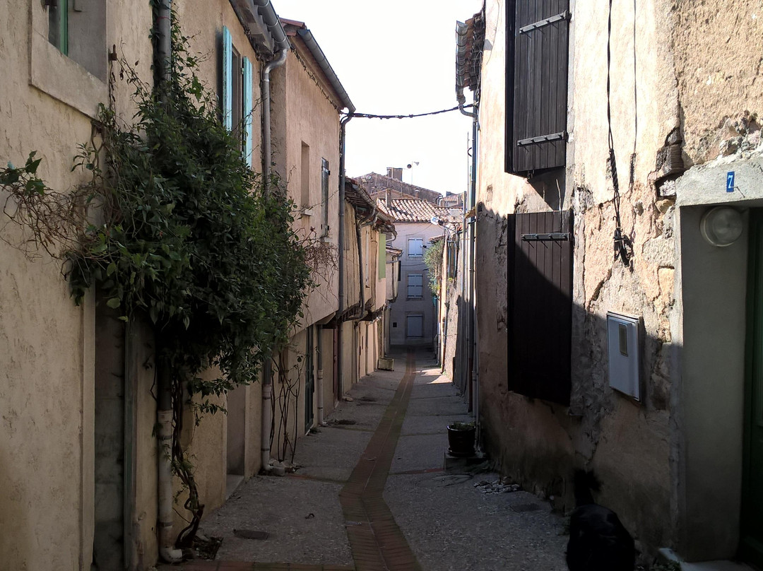 Montolieu Village du Livre & des Arts景点图片