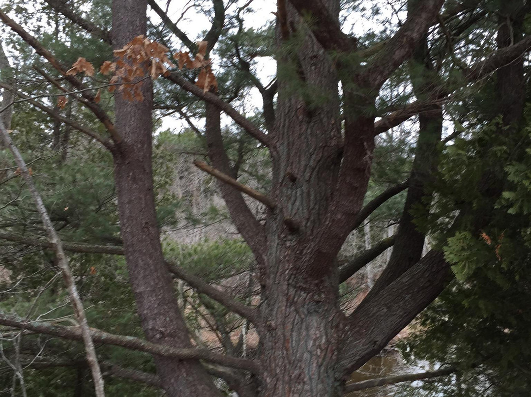 Deerfield Nature Park景点图片