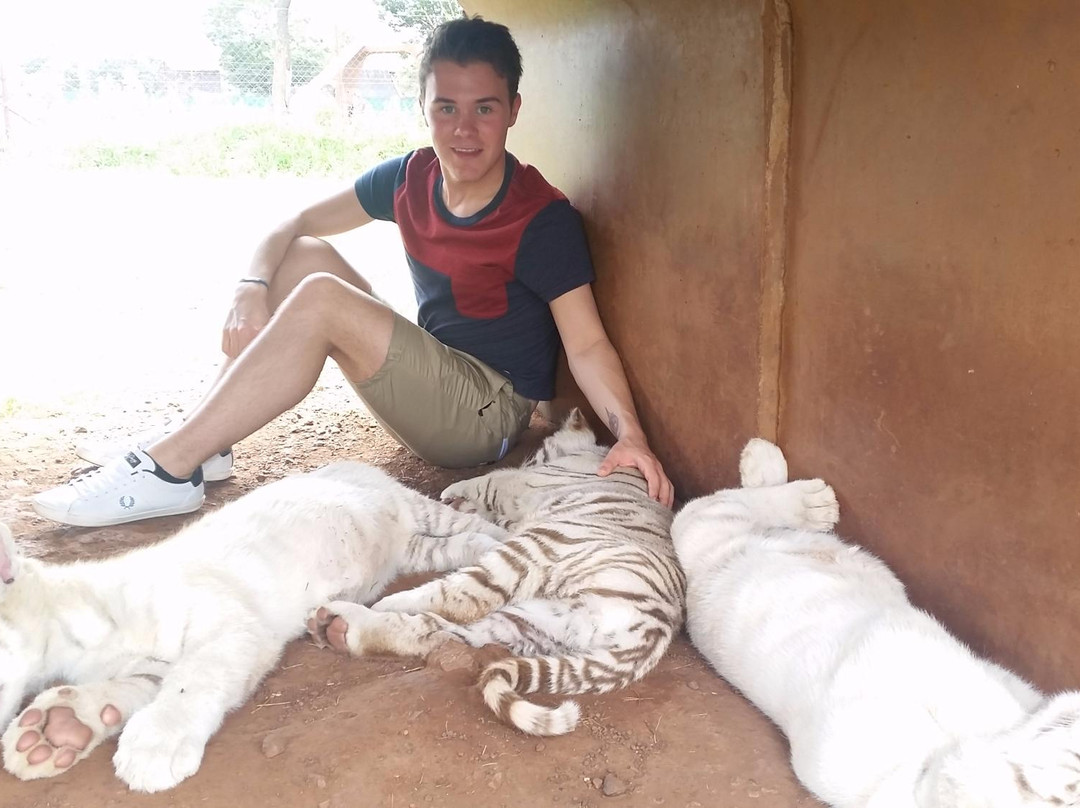 Thorntree Tours and Safaris Day Tours景点图片