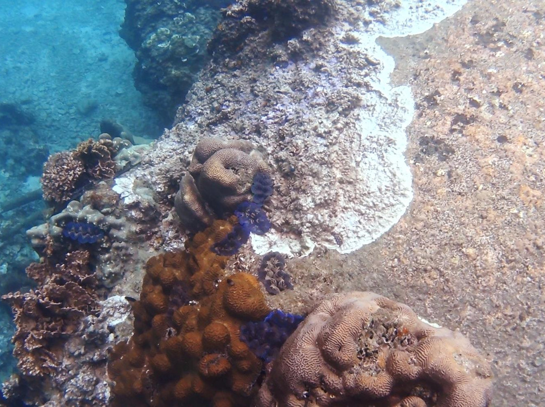 Lighthouse Bay-涛岛必去景点