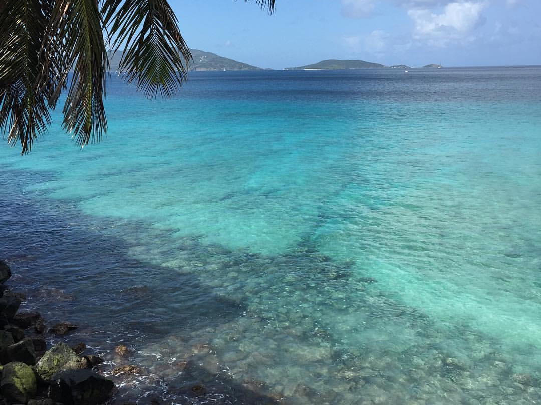 Apple Bay-托土拉必去景点